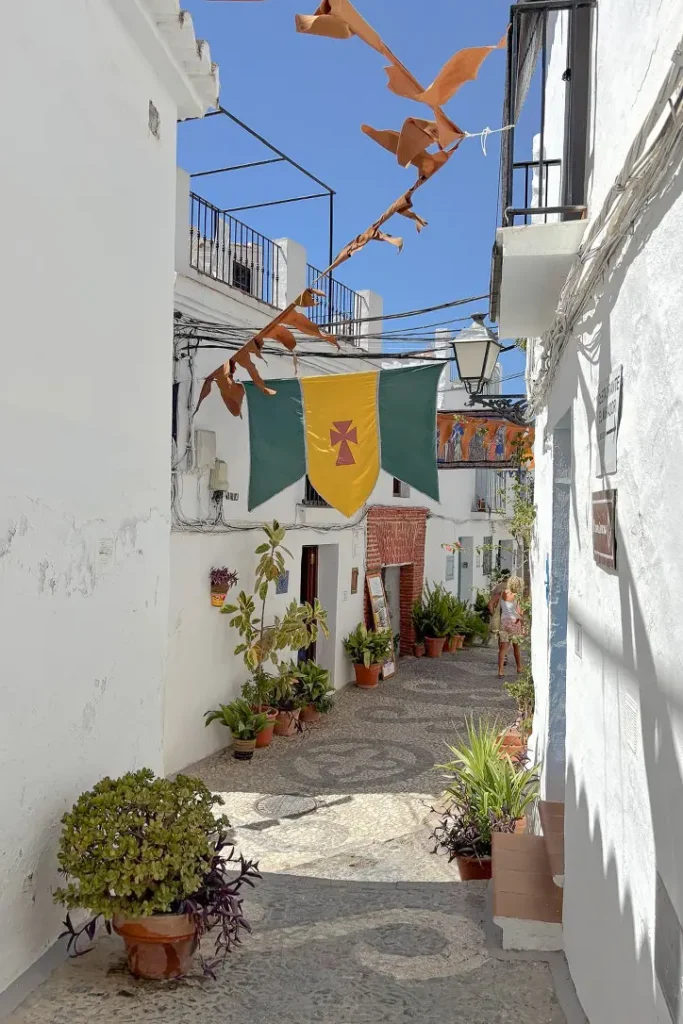 Traditional whitewashed street with flowerpots – townhouse project in Frigiliana