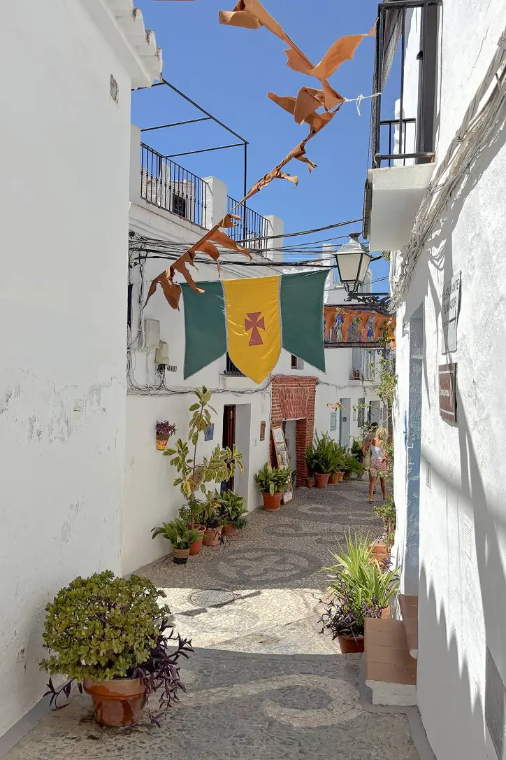 Traditional whitewashed street with flowerpots – townhouse project in Frigiliana